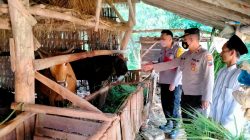 Berikan Himbauan Terkait Penyakit PMK, Kapolsek Palengaan Turun Langsung ke Peternak Sapi