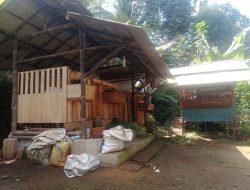 Menelisik Bisnis Ternak Kambing Etawa di Banjarnegara